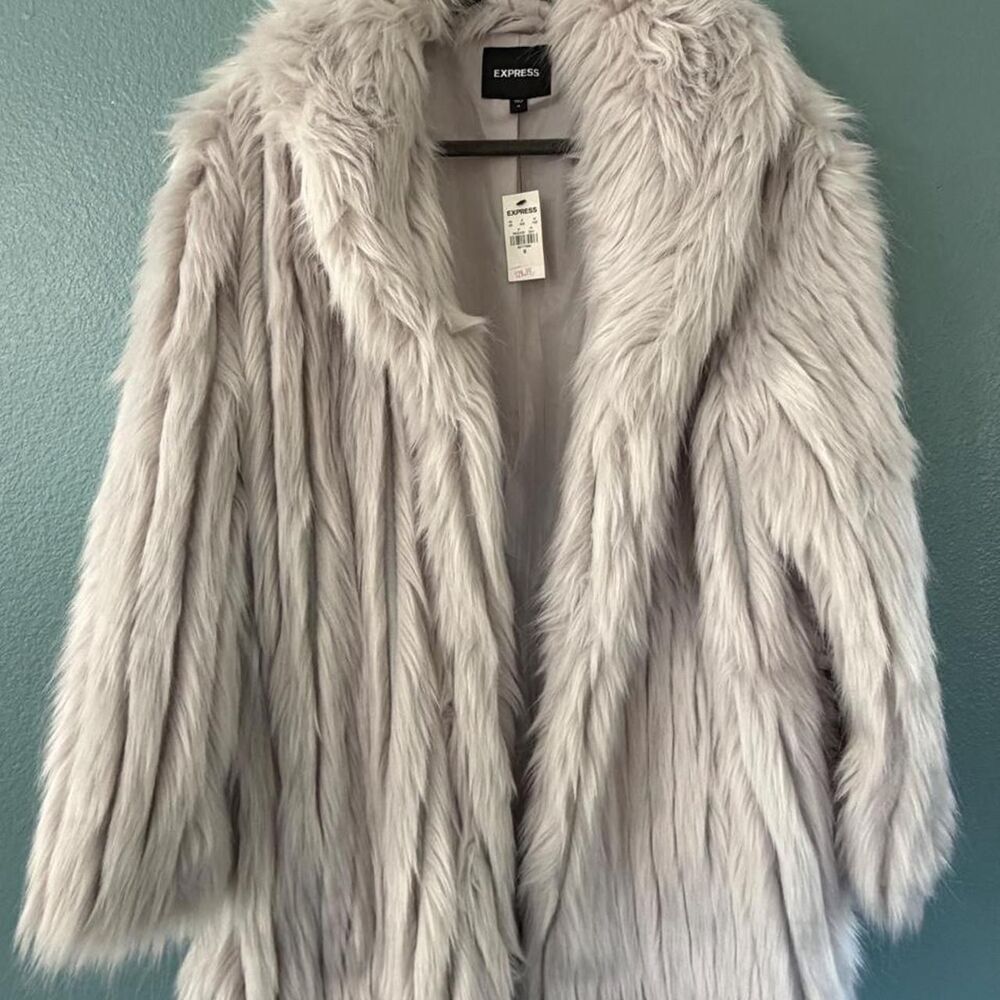 Express Women's Silver Coat